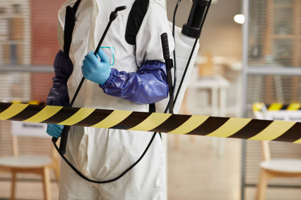 Professional Hoarding Cleanup technician working in Tenino, WA